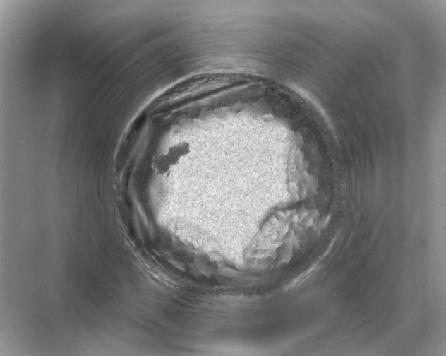 X0000069790925200606091739