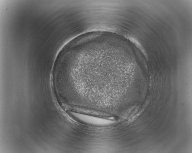 X0000069790928200606091739