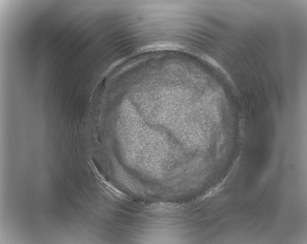 X0000069790929200606091739