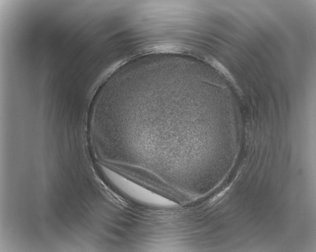 X0000069790930200606091739