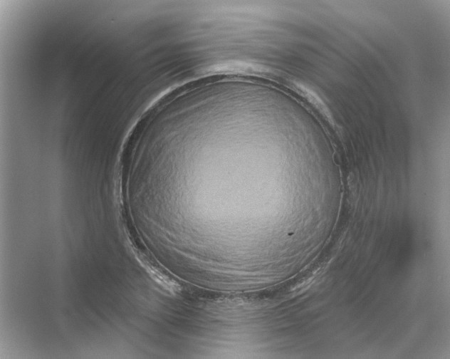 X0000069790931200606091739