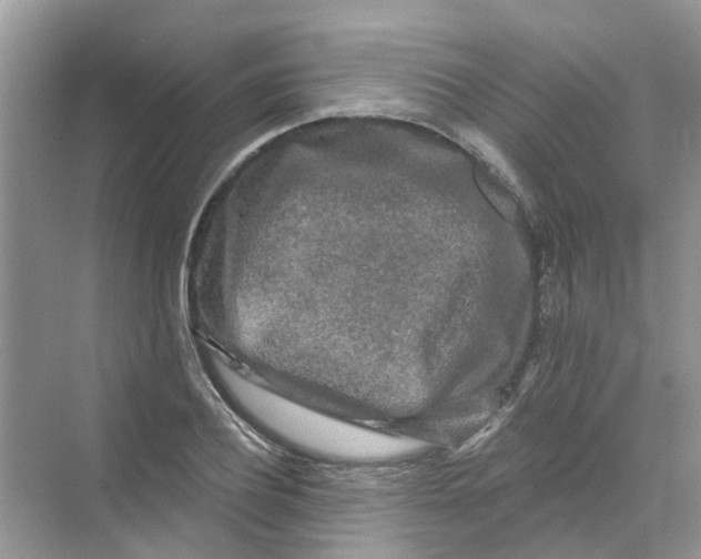 X0000069790932200606091739