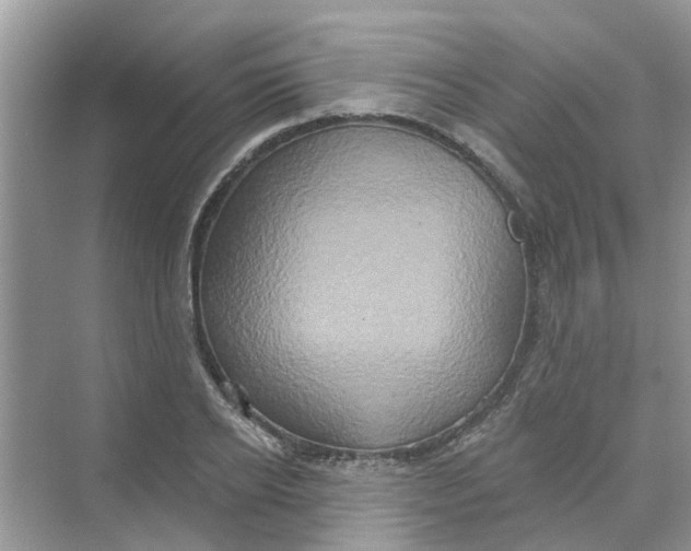 X0000069790934200606091739