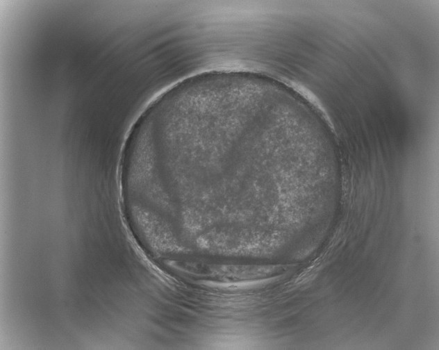 X0000069790935200606091739