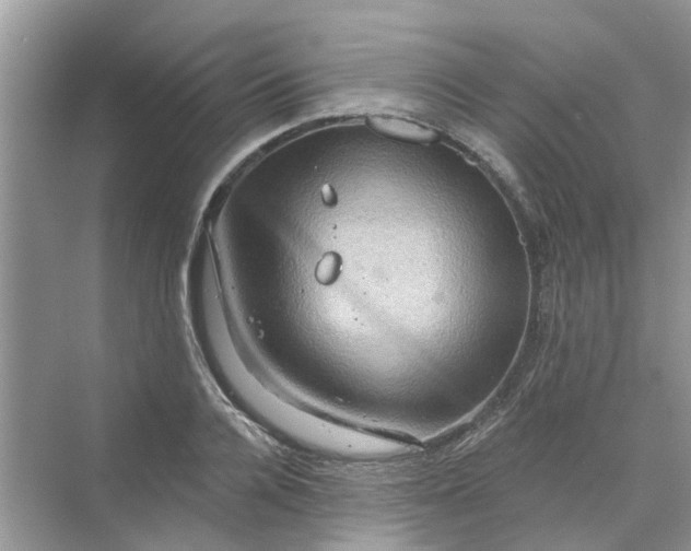 X0000069790936200606091739