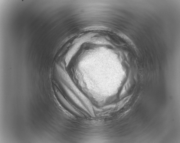 X0000069790937200606091739