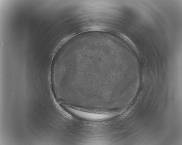 X0000069790938200606091739