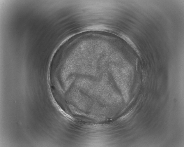 X0000069790939200606091739