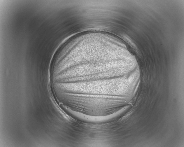 X0000069790940200606091739