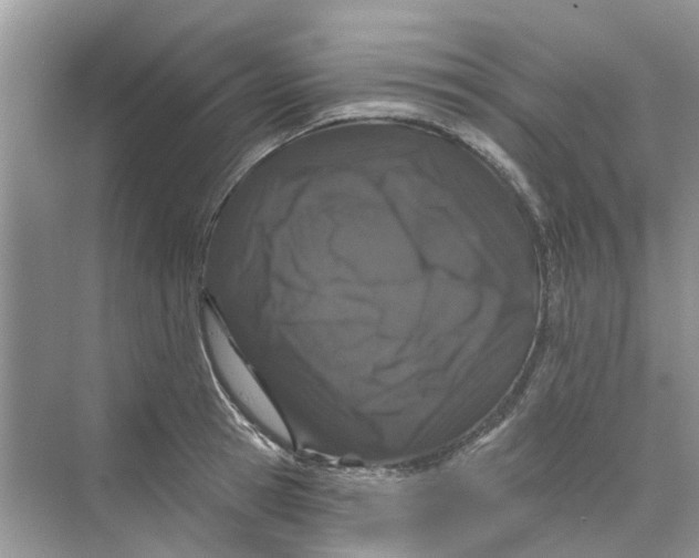 X0000069790945200606091739