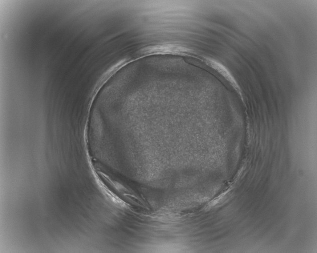 X0000069790946200606091739