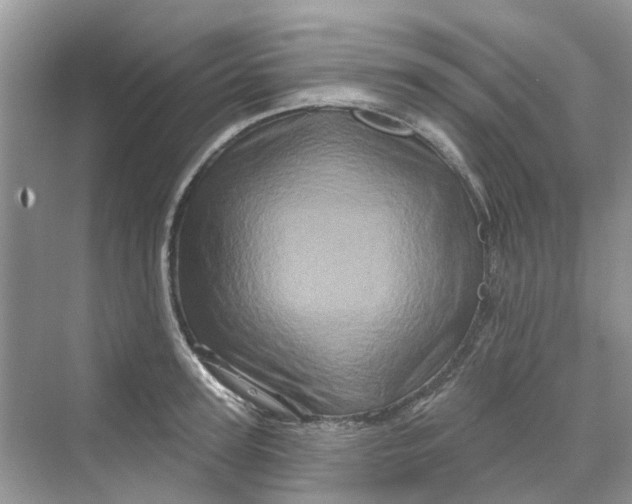 X0000069790947200606091739