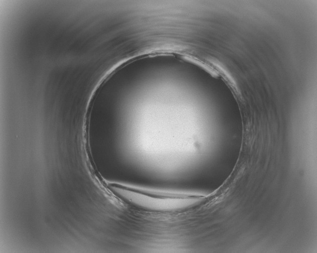 X0000069790948200606091739