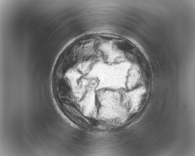 X0000069790949200606091739