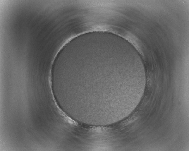 X0000069790950200606091739