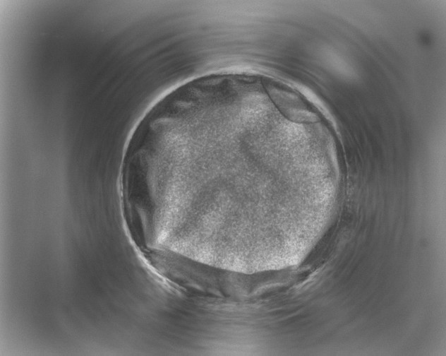 X0000069790951200606091739