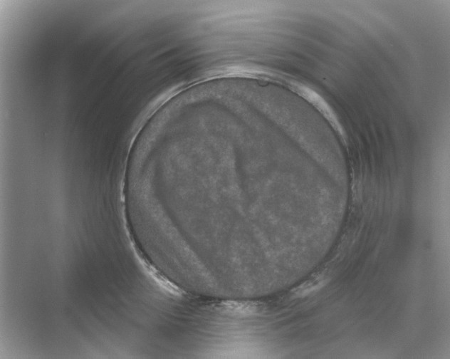 X0000069790954200606091739