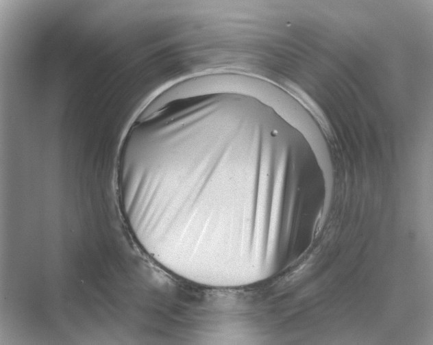 X0000069790956200606091739