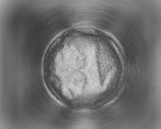 X0000069790957200606091739