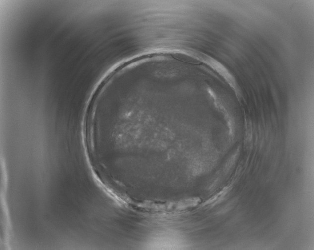 X0000069790958200606091739