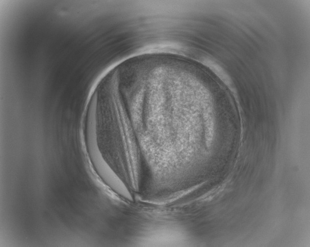 X0000069790960200606091740