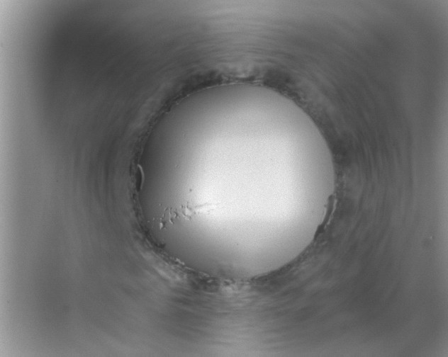 X0000069790961200606091739