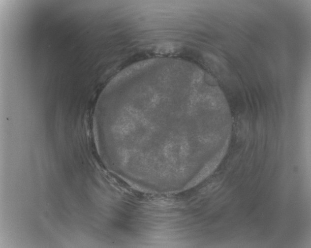 X0000069790962200606091739