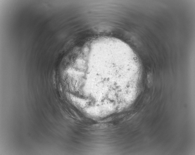 X0000069790963200606091739