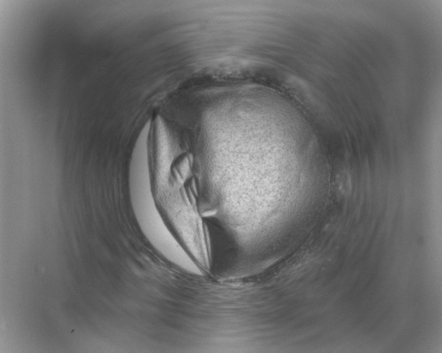 X0000069790964200606091739