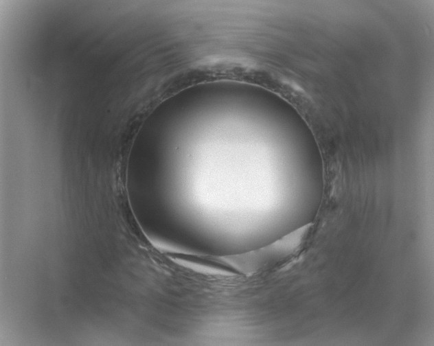 X0000069790965200606091739