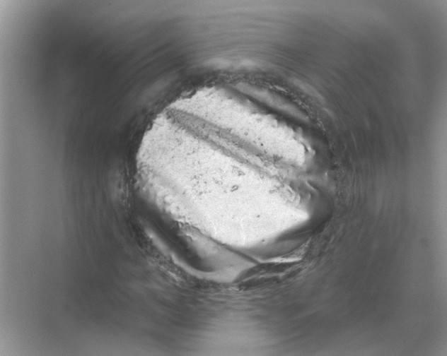 X0000069790966200606091739