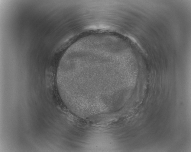 X0000069790967200606091739