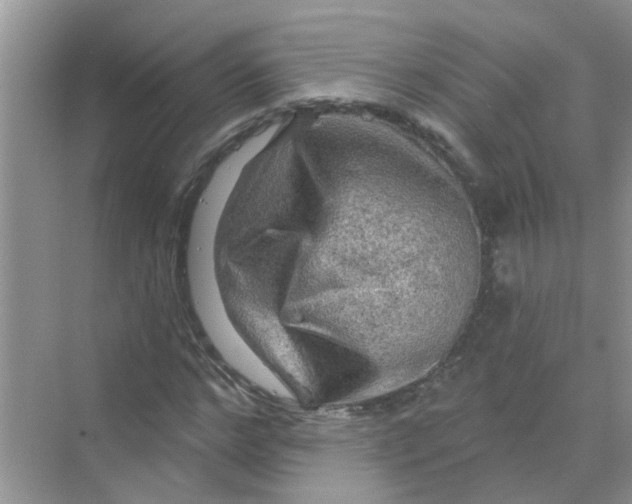 X0000069790968200606091739