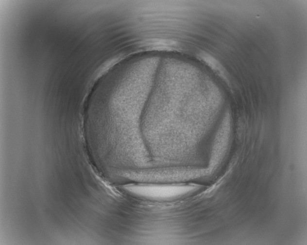 X0000069790970200606091739