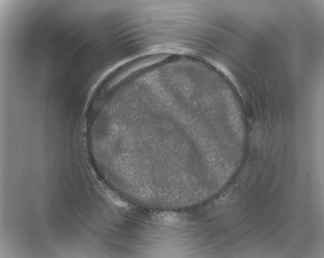 X0000069790971200606091739