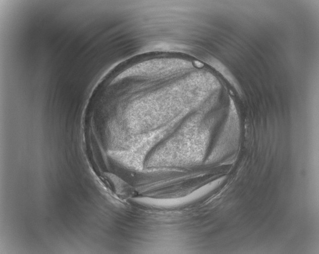 X0000069790972200606091739