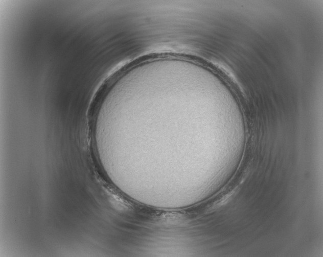 X0000069790974200606091738