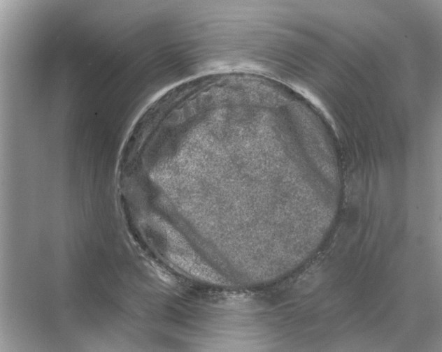 X0000069790975200606091738