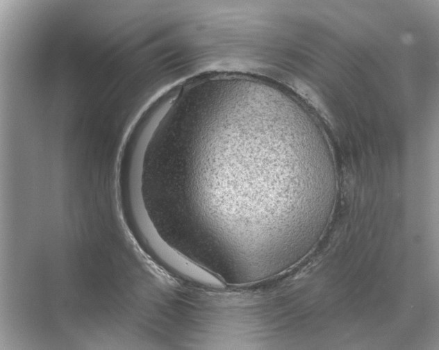 X0000069790976200606091738