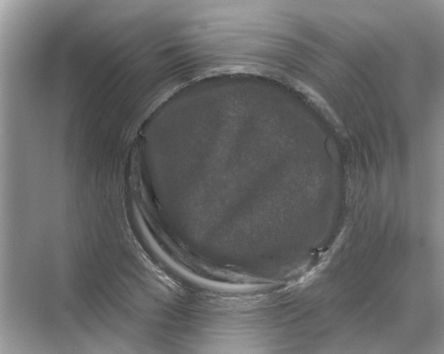 X0000069790977200606091738