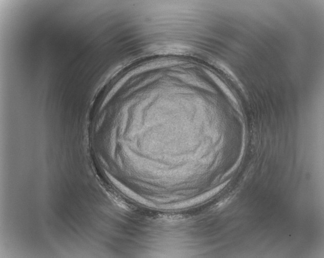 X0000069790978200606091738