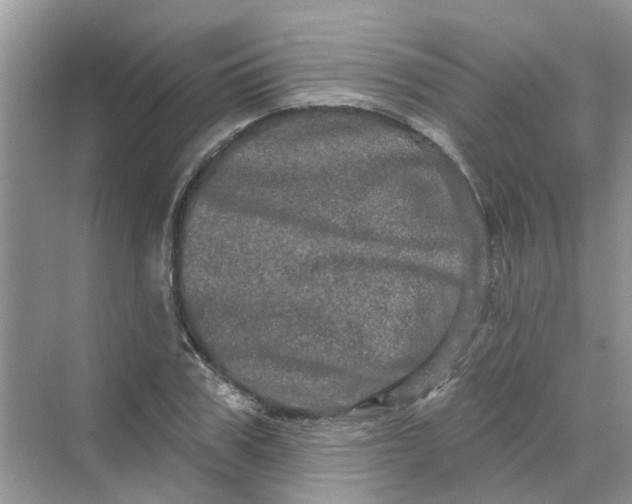 X0000069790979200606091738