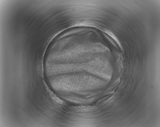 X0000069790980200606091738