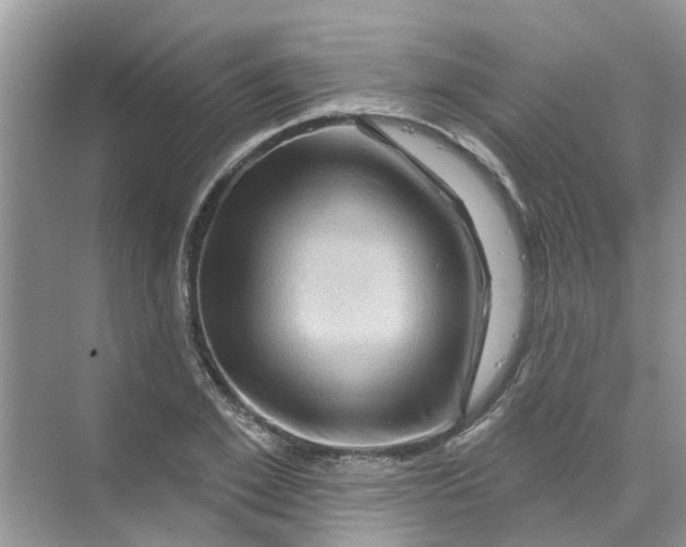 X0000069790981200606091738