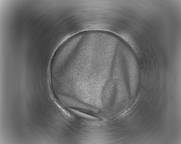 X0000069790982200606091738