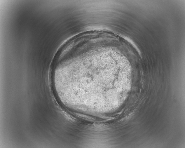 X0000069790983200606091738