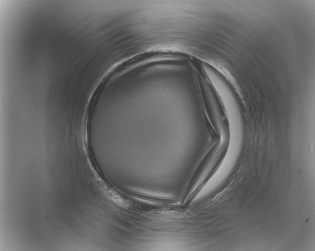 X0000069790984200606091738