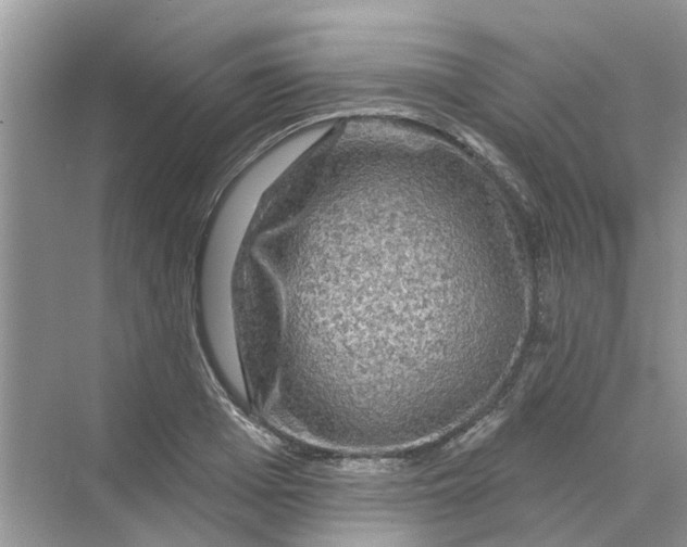 X0000069790985200606091738