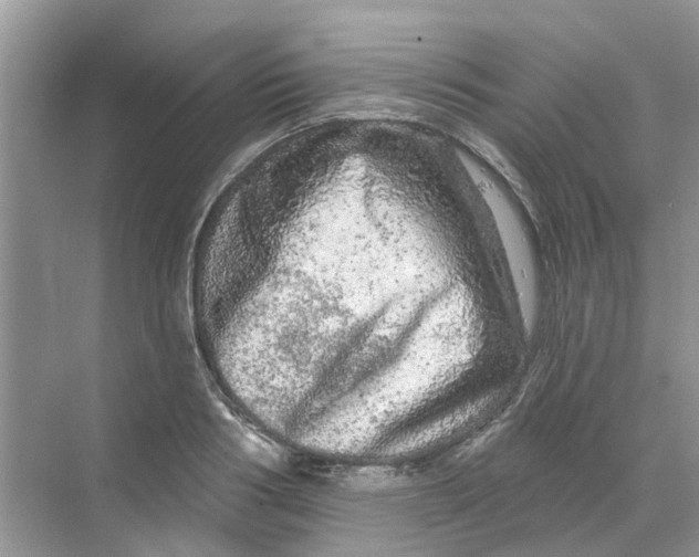 X0000069790986200606091738