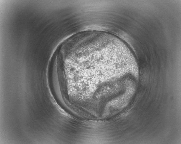 X0000069790987200606091738